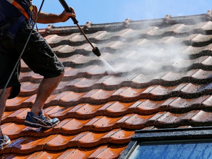 Roof Cleaning​ 2