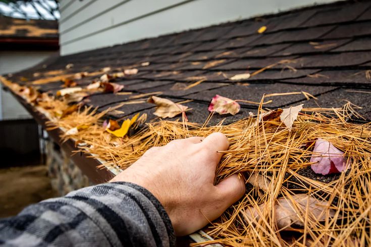 Roof Cleaning​