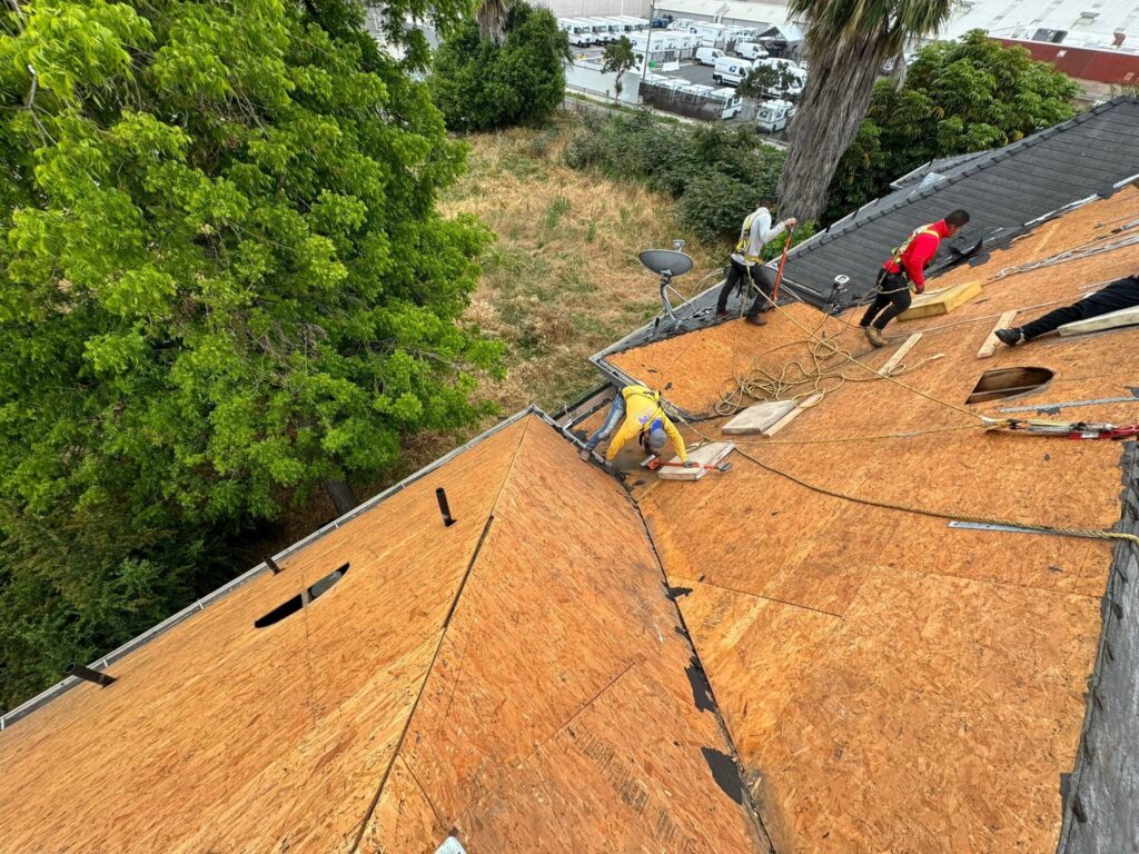 Roof Repair and Replacement​