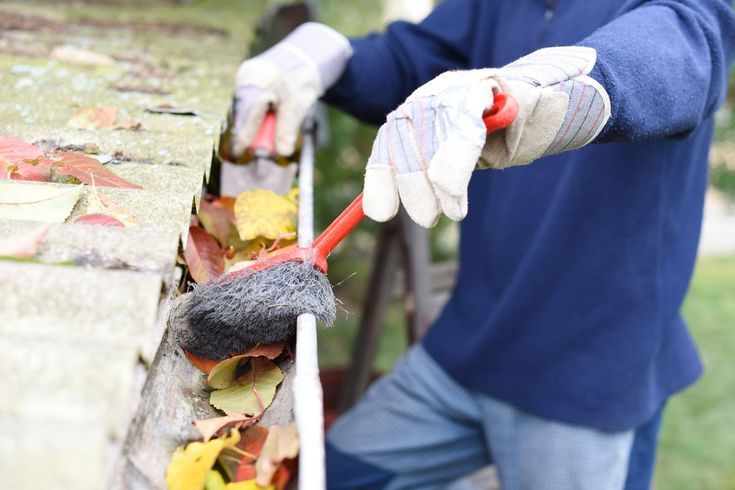 Rain Gutter Cleaning Service​