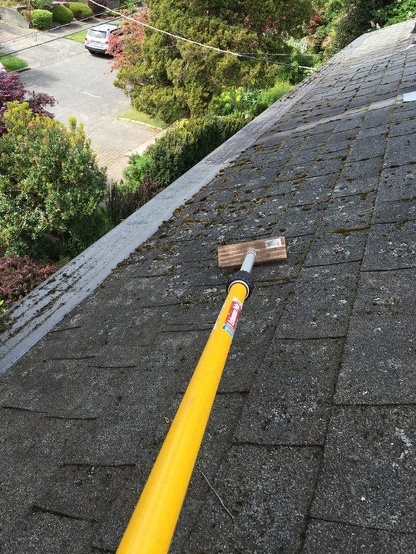 Cleaning Cedar Shingles​
