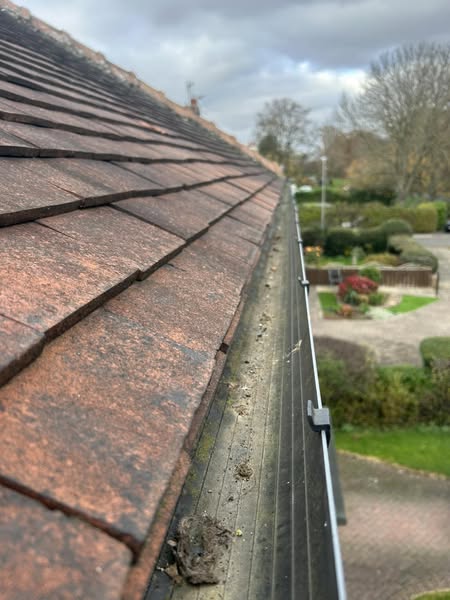 Gutter Inspection​