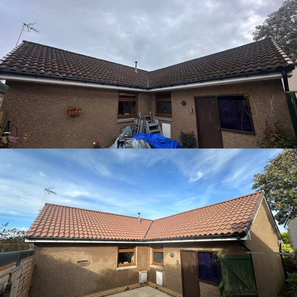 Moss Cleaning Service​