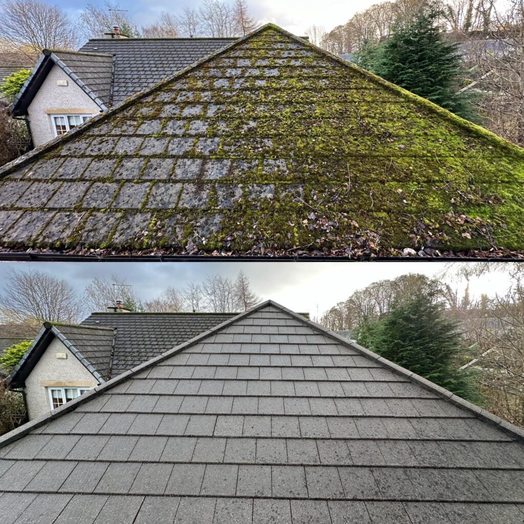 Roof Cleaning and Moss Removal​