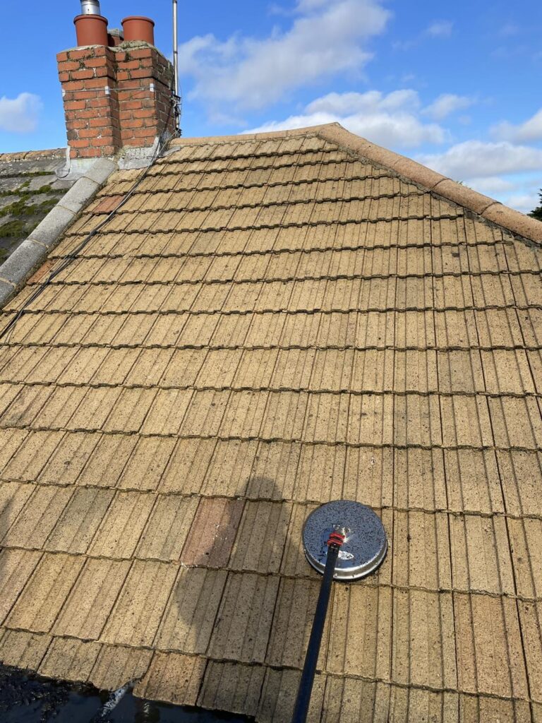 Soft Wash Pressure Cleaning​
