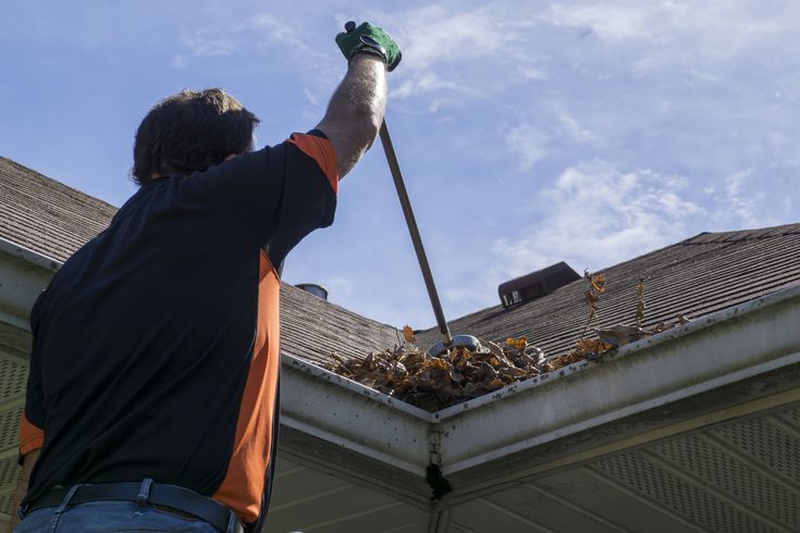 Roof Gutter Cleaning​